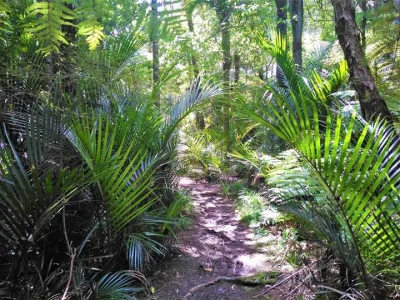 yeloneck - @equu: wczorajszy spacer do lasu, jakieś 200m od domu.