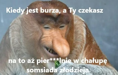 ziomeczek_ziomkowsky - #heheszki #humorobrazkowy #polak i #burza