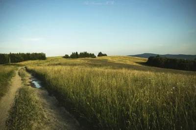 momo94 - #mojezdjecie #fotografia #beskidniski #gory #azylboners 

Beskid Niski, ok...