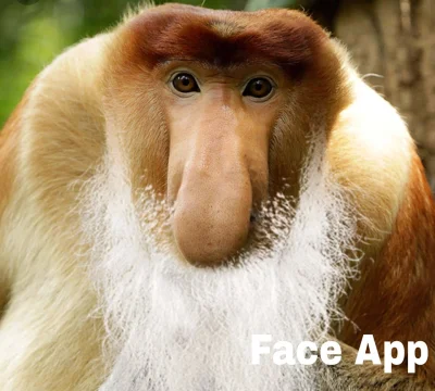 Polasz - Face App 

#humorobrazkowy #polak #nosacz #nosaczsundajski #faceapp