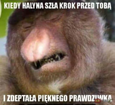 enforcer - #heheszki #polak
