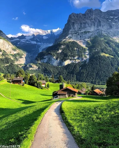 Castellano - Grindelwald. Szwajcaria
foto hikingwithlisa
#szwajcaria #fotografia #e...