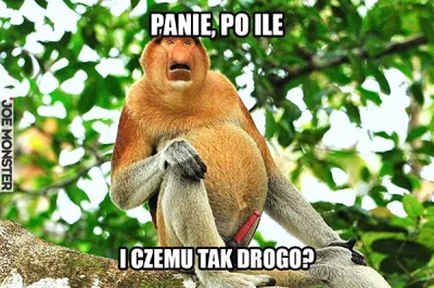 darosoldier - @Pasha: Co tak drogo ?