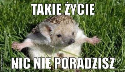 Przyglup - @GNMacu: