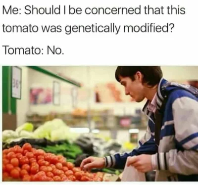 i.....r - #gmo #genetyka #heheszki #pomidory