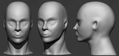 F.....i - Trening rzeźbienia głowy.
#zbrush #grafika3d #wip #tworczoscwlasna