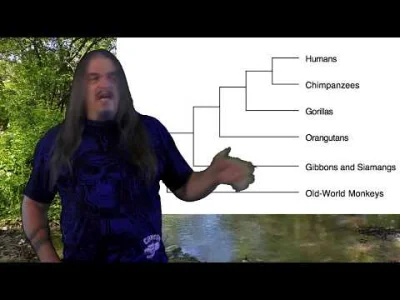 Trajforce - Systematic Classification of Life - ep43 Homininae
Miocen

#paleontolo...