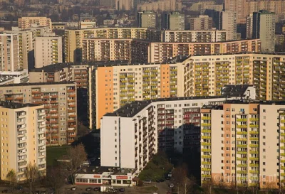 Carotas - MIESZKAJ NA PIERWSZYM PIĘTRZE
SĄSIAD Z PARTERU SIEDZI W OGRÓDKU Z KOLEGAMI...