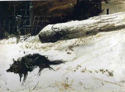 kvoka - Andrew Wyeth, Wild Dog, 1959 /♥

#malarstwo #sztuka