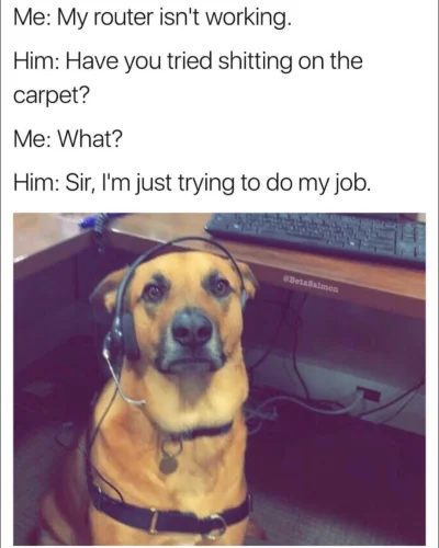 Prokurator_Bluewaffles - #heheszki #smiesznypiesek 
#humorobrazkowy