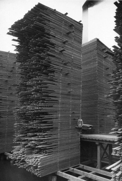 myrmekochoria - Stosy schnących desek w tartaku w Ballard, USA 1958 rok. 20 maja wybu...