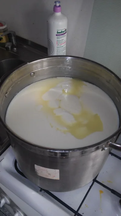 Trelik - Robię pierwszy raz ser z 15 l świeżego mleka ( ͡° ͜ʖ ͡°)

#serowarstwo