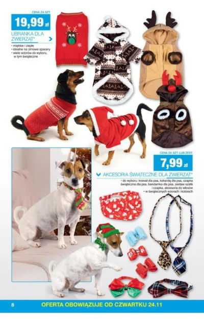 Adhezyt - CO #biedronka