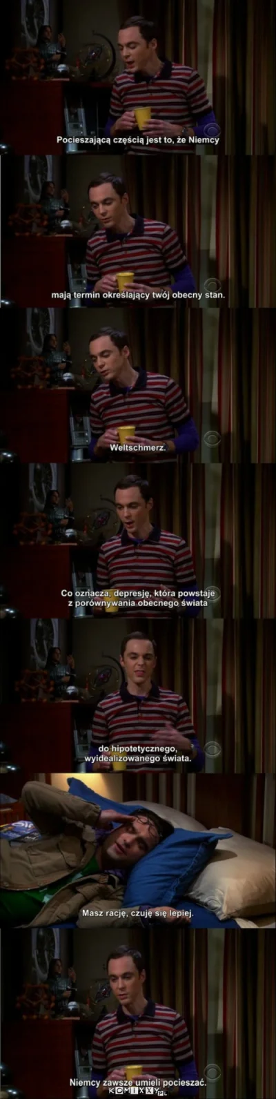 goferek - #heheszki #sheldon #bigbangtheory #weltschmerz #depresja