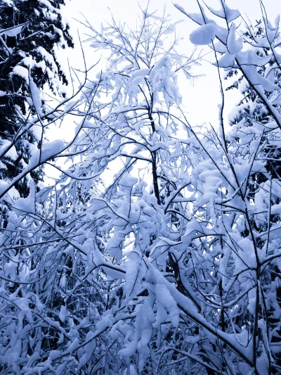 Shades - #fotografia #tatry