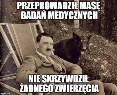 majongini - #heheszki #hitler