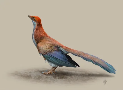 bioslawek - Archeopteryx


#nauka #paleontologia #rekonstrukcje #ciekawostki #ptak...