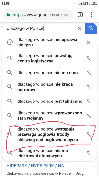 g.....i - #polska #heheszki #krowa #swinie #google