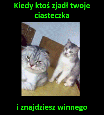 xblackwidowx - #smiesznykotek