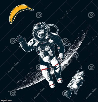 qxbqxb - #kosmonauta #heheszki #humorobrazkowy #malpawkosmosie