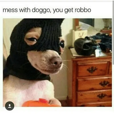 F.....s - @Eattrashdiefast: you mess with a doggo get a stobbo