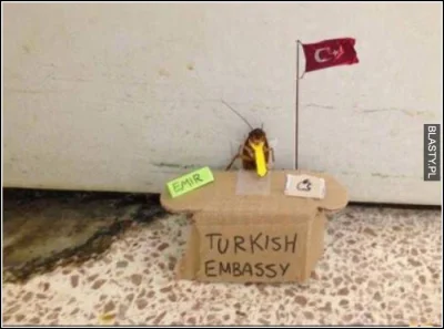 P.....4 - Turecka ambasada zaprzecza, że to ich obywatele