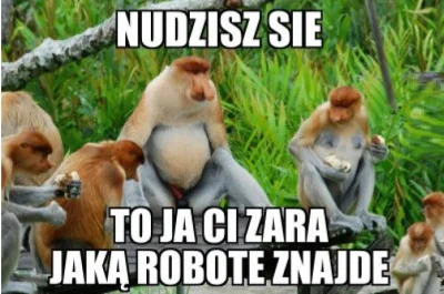 popik3 - Leniwy sobotni wieczór ? ( ͡° ͜ʖ ͡°)

Dzisiaj 8/100

#stonosaczynastulec...