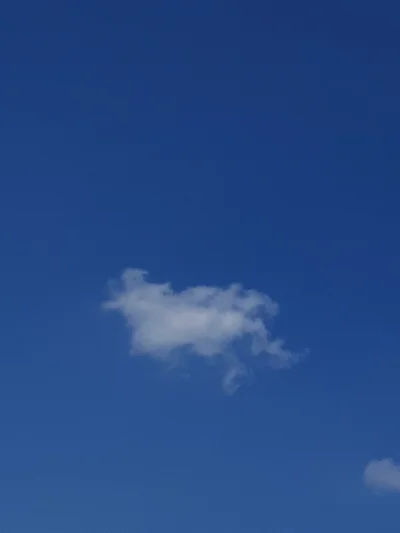 mokz - Co widzicie w tej chmurze?
#pytanie