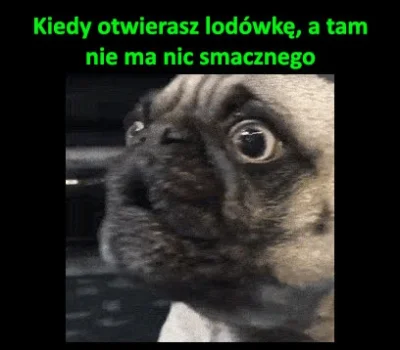 innigri - #heheszki #smiesznypiesek #takaprawda #problemypierwszegoswiata