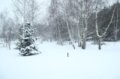 barytosz - wczoraj już prawie nie było śniegu, dziś wygląda to tak :( a za 2 dni pier...