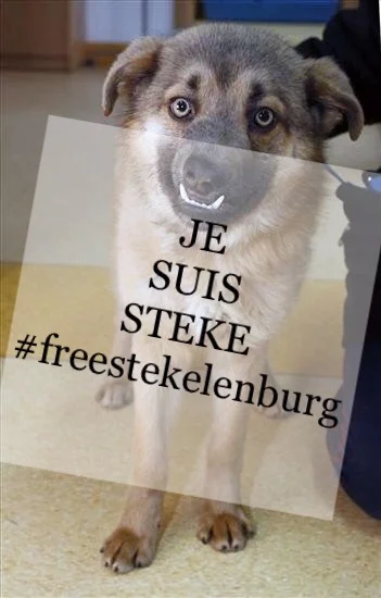 S.....a - POZDROWIENIA DO WIĘZIENIA! @stekelenburg2
#freestekelenburg #jesuissteke #n...