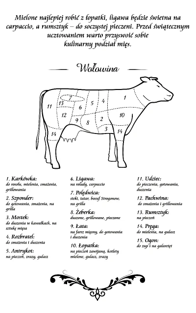 alibaba848 - Krowa: