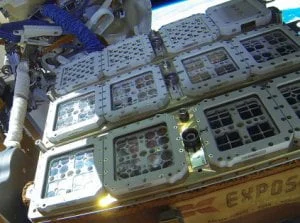 RFpNeFeFiFcL - Wyniki eksperymentu BIOMEX na ISS pokazały, że życie na Marsie jest mo...