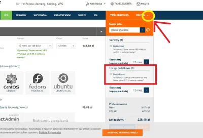 l.....w - @defoxe: 
rozwin ten znaczek;p
Dodatkowa usluga to directAdmin, czyli nar...