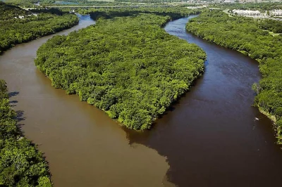 tpablo - @tomy86: Podobna sytuacja: Amazonka i Rio Negro.
