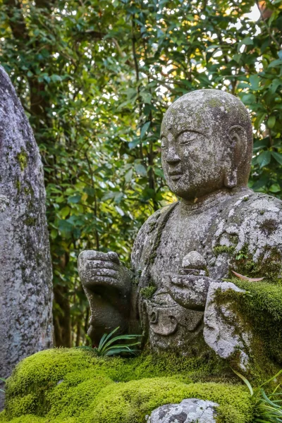 u.....r - Eikan-do

#kioto #japonia #budda