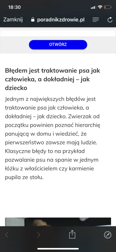 w.....8 - To wszystko?