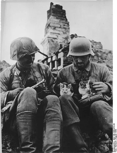 HaHard - Niemieccy żołnierze w sowieckiej wsi, 1943

#hacontent #fotografia #histor...