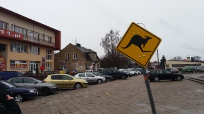 mamdyzur - @printf: w Białymstoku syf i kangury zdjecie centrum miasta ul. Bema
#pol...