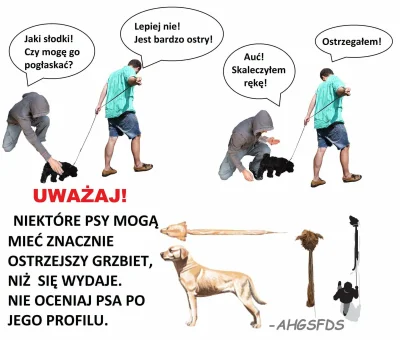 menstruacyjnakaszanka - #heheszki #smiesznypiesek #zwierzaczki #humororazkowy