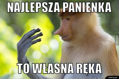 ZawodowyPolak - #polak #memy #heheszki #humorobrazkowy #tworczoscwlasna