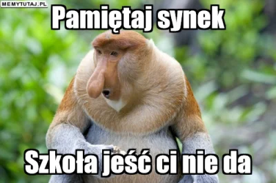PawelW124 - #humor #heheszki #polak #nosacz #nosaczsundajski #przyslowia #studbaza #s...