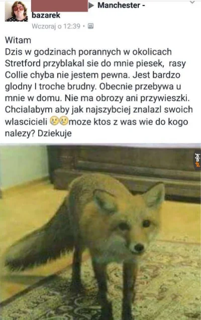 olmaz - #smiesznypiesek #heheszki #humorobrazkowy