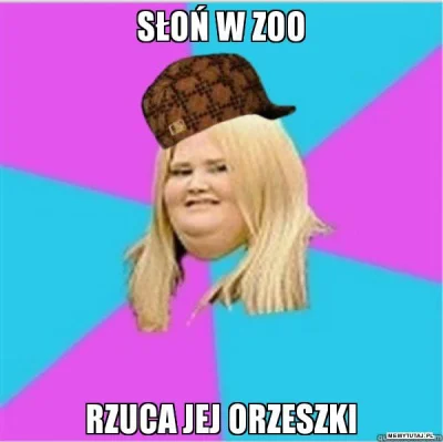 miksza - @Vilyen: Nick "Elefant" i wszystko jasne! (⌐ ͡■ ͜ʖ ͡■)