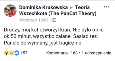 histaminapusz - #rozowypasek chce kota, ja tak średnio (chyba że mejn kuna), natomias...