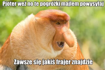 Basiura89 - #humor #heheszki #polak #nosaczsundajski #nosacz #memy #pjoter #afera ?