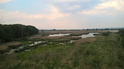 LoneRanger - Mam jakieś 150m do tych "kanałów" - piękne, ciche i spokojne miejsce. Pł...