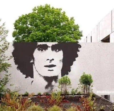 Pshemeck - #heheszki #fellaini #manchesterunited #natura