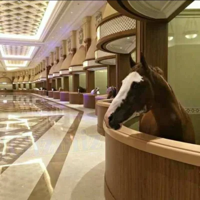 Mesk - W Dubaju mają stajnie dla koni z podłogami z marmuru... 
#konie #jezdziectwo ...