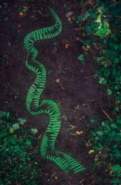 beatha - #landart #art #sztuka

 Andy Goldsworthy